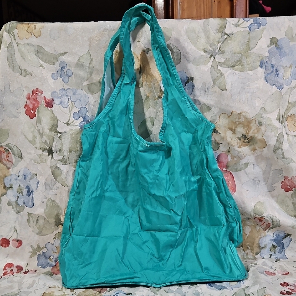 NO BOUNDARIES Teal  Reuseable Shopping Bag - Snap Closure - Self Zipper Storage
